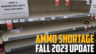 Debunking Ammo Shortage Myths An Insiders Take on the Crisis [upl. by Narayan244]