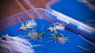 Bonefish Bitter Fly HD Fly Tying Video [upl. by Stanwood]