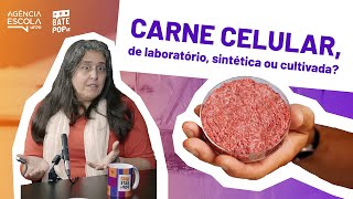 Entenda o processo de produção da carne cultivada [upl. by Petrina27]