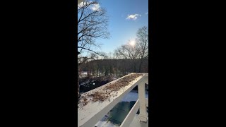 Winter Bird Cam Live Morning Sunshine and Feathered Friends 🌞❄️🐦 [upl. by Arhat]