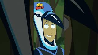 Activate Blue Jay and Squirrel Powers  Which Is Better  Wild Kratts [upl. by Mages73]