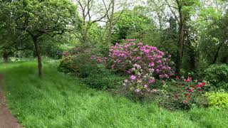 London Walk From Hanwell To Grand Union Canal 4K [upl. by Kesia]