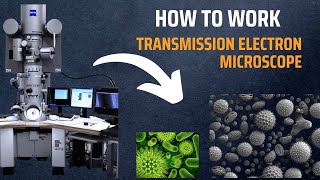 Transmission Electron Microscope TEM  How do Electron Microscopes Work [upl. by Assetnoc878]