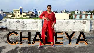 Chaleya Song Dance Video  Shahrukh Khan Jawan [upl. by Jacinthe]