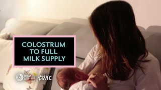 Colostrum to Full Milk Supply  Texas WIC for Breastfeeding Support  BreastmilkCountscom [upl. by Nealey]