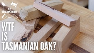 WTF is Tasmanian Oak [upl. by Niuqram662]