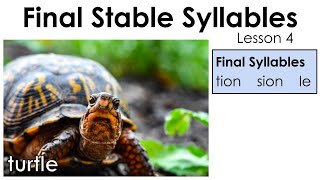 Final Stable Syllables  tion sion le  Lesson 4 [upl. by Jone665]