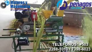 PICADORA DE ZACATE Y PASTO PP 600 MOTOR DIESEL 10 HP [upl. by Selmner222]