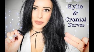 ASMR Kylie Jenner Gives You a Cranial Nerve Examination [upl. by Morgan422]