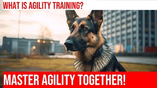 Train Your German Shepherd for Agility Competitions [upl. by Chandless42]