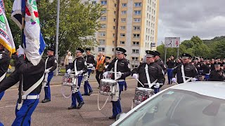 Camlachie Loyal Star Flute Band  Gourock Boyne Celebrations 29thJune 2024 [upl. by Adnohsat794]