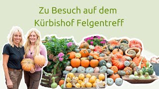 Zu Besuch auf dem Kürbishof Felgentreff  heimischelandwirtschaft [upl. by Flem]