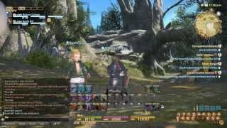 FFXIV A Realm Reborn  Fun With Animations [upl. by Gilbert]