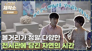 🔎현장탐방🔎 I 🐟해양 생물들의 과거🐋 I 생방송투데이 프리 [upl. by Aspia713]