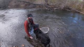 Mokelumne Fishing [upl. by Yle]