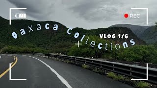 Oaxaca Collections  vlog 16 [upl. by Lig]