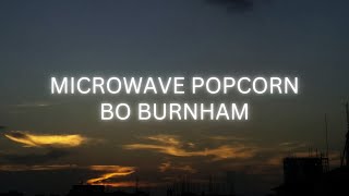 Bo Burnham  Microwave Popcorn Lyrics [upl. by Adraynek]