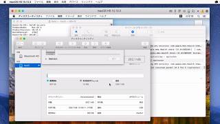 macOS 10133 High Sierra Passowrd in log bug [upl. by Fujio548]