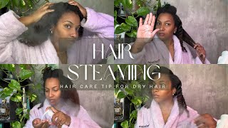 Ultimate Natural Hair Steaming Guide [upl. by Sukcirdor]