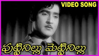 సిరిమల్లె సొగసు జాబిల్లి వెలుగు  Sirimalle sogasu  Song  Puttinillu Mettinillu 1973 [upl. by Kred]