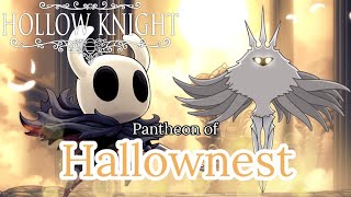 Pantheon of Hallownest  Hollow Knight [upl. by Tunk253]