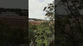 Orange garden in aventine  panorama view [upl. by Oeramed988]