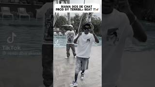 Renard Barakissa dos de chat Prod by TERRIBLÉ BEAT [upl. by Fornof]