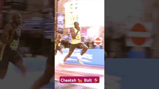 cheetah 🐆 bolt runningUsain Bolt running videousainbolt [upl. by Alleuqcaj937]