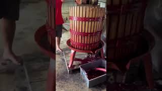 Classical Vertical Wine Press 🍇😉filipapato [upl. by Attenod]