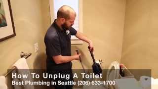 How To Unplug A Toilet Using Kohler Barrel Design Flapper  Plumbing in Seattle 206 6331700 [upl. by Arytal545]