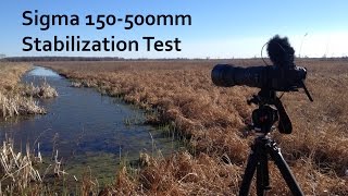 Sigma 150500mm Stablization Test [upl. by Duester461]