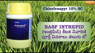 BASF INTRIPID insecticide  ఇంట్రెపిడ్ కీటక నివారిణి పూర్తీ వివరాలు తెలుగు లో [upl. by Idroj666]