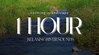 River Soundscapes for Deep Sleep amp Relaxation  1 Hour of Ambient Nature Sounds [upl. by Yrekcaz]