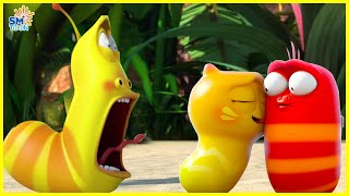 LARVA Season 1 Episode 320  470 Best Cartoons 20224  Comics  Hilarious Cartoon Compilation [upl. by Enilegnave]