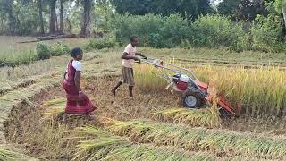 Paddy Cutter Machine At Gatamaha K Nuagaon Kandhamal [upl. by Aicitel]