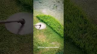 The Most Satisfying Lawn Mowing in 2024 [upl. by Sink]