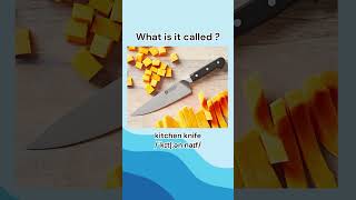 Can you name vocabulary quotKitchen implementsquot learnenglish vocabulary learning quiz english [upl. by Nanyk]