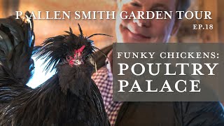 Wacky Crested Poultry Breeds Celebrity Lookalike  P Allen Smith [upl. by Gadmann]