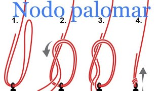 Come fare il nodo palomar nodo per girelle moschettoni e ami nodo palomar [upl. by Yelserp]