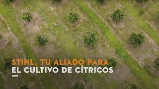 Cómo preparar el terreno en presiembra del cultivo de cítricos  Ahoyadora BT 131  Tutorial STIHL [upl. by Avril]