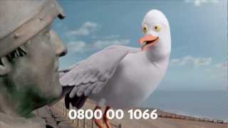 The full picture TV advert  Hastings Direct [upl. by Yornek]