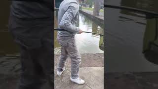 Dropshotting results in 2lb plus perch fishing shorts perch predatorfish uk [upl. by Ennaitak6]