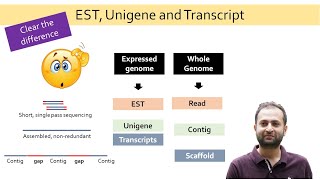 EST Unigene and Transcript What is the difference between them Reads Contigs Scaffold [upl. by Sanborn]