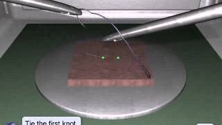 LapSim Suturing amp Anastomosis Surgeons Knot [upl. by Ledarf]