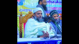 মাহফিলে হঠাৎ এক পাগলের একি কান্ড Abdur Razzak Bin Yousuf waz abdur razzak bin yousuf waz [upl. by Ahcarb]