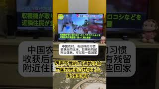 大饥荒来了 厉害了我的国 农民连自己都喂不饱了 小粉红 厉害了我的国 习近平 [upl. by Egduj]