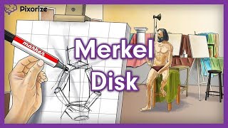 Merkel Disk USMLE Mnemonic Preview [upl. by Leakim]