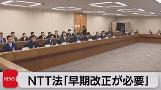 NTT法「早期改正が必要」有識者が論点整理案まとめる 通信4社がそれぞれ意見（2023年12月13日） [upl. by Akienaj]