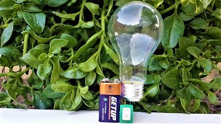 Free Energy Light Bulbs  220v using 9v Battery [upl. by Warrick]