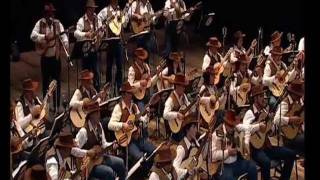 Índia  Orquestra Paulistana de Viola Caipirawmv [upl. by Wylma558]